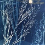 Arts Sutton - Marie-Anne Letarte