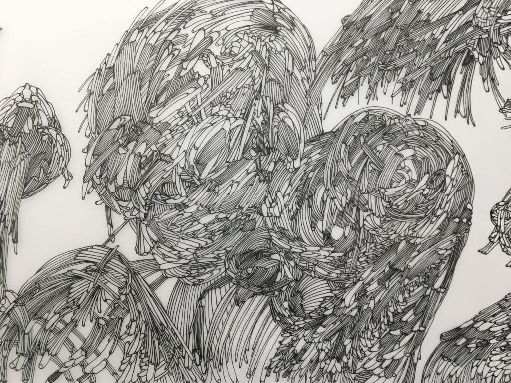 Pierre Auger - Arts Sutton