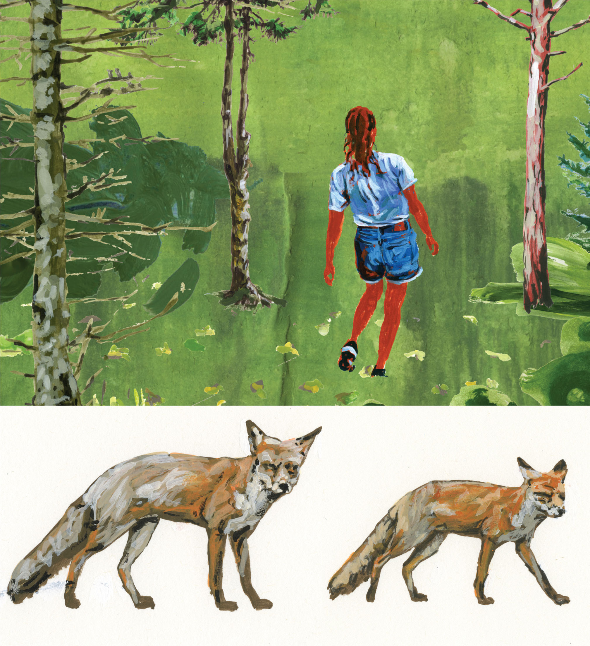 Annabelle dans la forêt, 2024, Boucle vidéo (1m 30s) sur dessins (acrylique sur papier) et Renard, 2020, acrylique sur papier