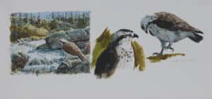 Arts-Sutton-_ALF6397 encan2025