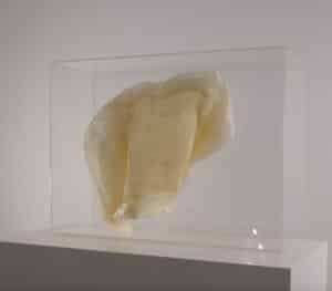 Arts-Sutton-_ALF6450 encan2025