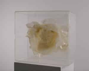 Arts-Sutton-_ALF6457 encan2025